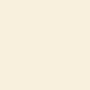 2322 DOVER WHITE - Krylon ® Fusion for Plastic ®