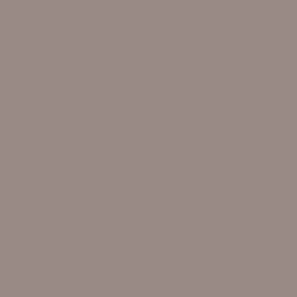 2323 RIVER ROCK - Krylon ® Fusion for Plastic ®